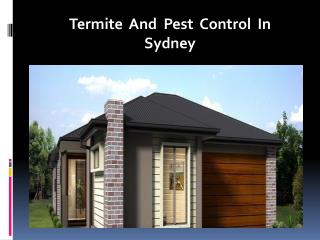 Termite And Pest Control In Sydney