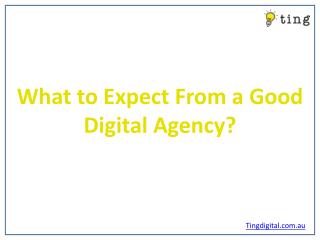What to Expect From a Good Digital Agency?