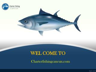 Cancun Fishing Charters â€“ Adventurous Sport Fishing Charters