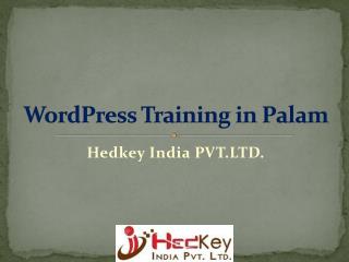 WordPress Training in Palam