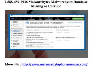 1-888-489-7936 Malwrebytes Customer Support Number