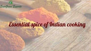 Essential spice of Indian cooking