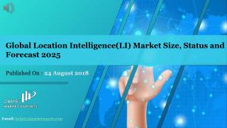 Global Location Intelligence(LI) Market Size, Status and Forecast 2025