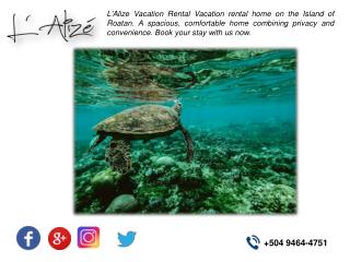 The Benefits of Taking a Roatan Vacation