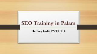 SEO Training in Palam | Hedkey India PVT.LTD.