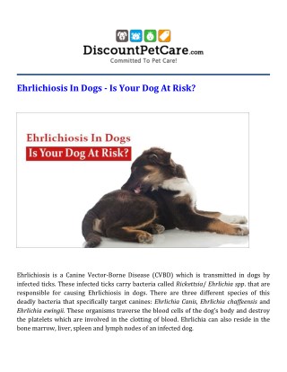 Ehrlichiosis In Dogs â€“ Is Your Dog At Risk?