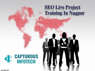 SEO Live Project Training In Nagpur