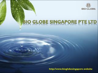 Bio Globe Singapore Pte Ltd