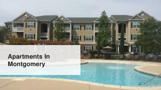 Luxurious Apartments In Montgomery