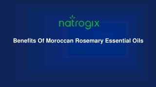 Moroccan Rosemary Essential Oils | Natrogix