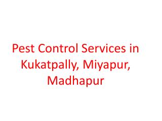 Pest Control Services in Kukatpally, Miyapur, Madhapur