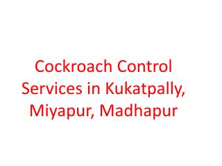 Cockroach Control Services in Kukatpally, Miyapur, Madhapur