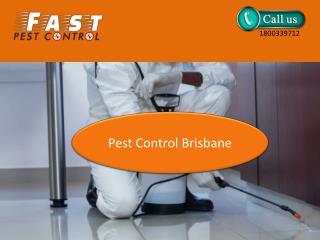 Fast Pest Control