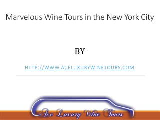 Marvelous Wine Tours in the New York City