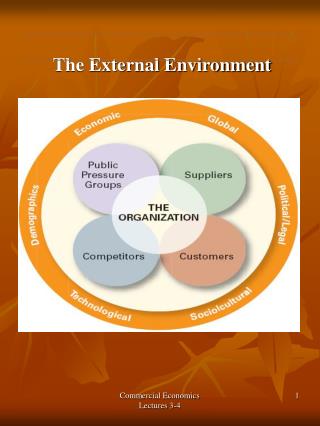 The External Environment