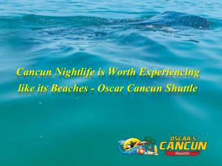 Cancun Nightlife is Worth Experiencing like its Beaches - Oscar Cancun Shuttle