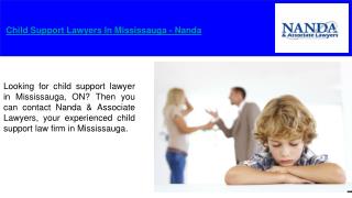 Child Support Lawyers Mississauga