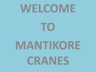 Mobile Crane Hire Camden