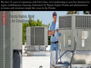 mold remediation in Naples