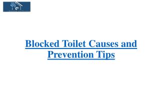 Blocked toilet causes and prevention tips