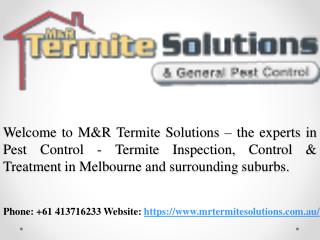 M&R Termite Solutions