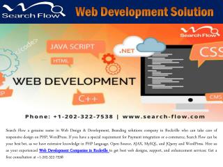 Web Development Solution