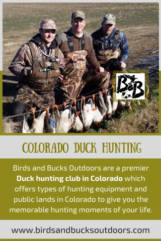 Colorado Duck Hunting