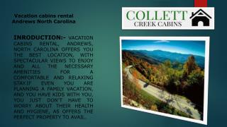 Vacation cabins rental Andrews North Carolina