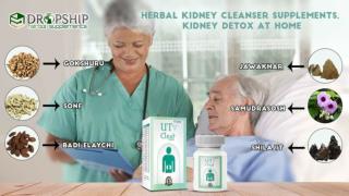 Herbal Kidney Cleanser Supplements, Kidney Detox at Home