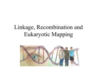 Linkage, Recombination and Eukaryotic Mapping