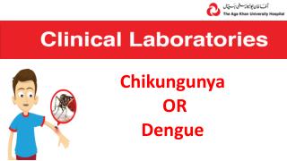 Chickungunya and Dengue