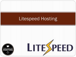 Litespeed Hosting