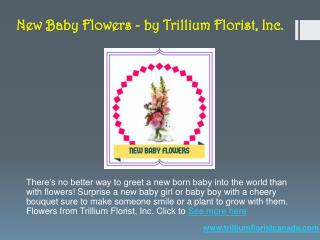 New Baby Flowers - by Trillium Florist, Inc.