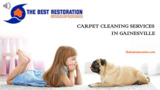 Carpet Cleaning Services in Gainesville - The Best Restoration