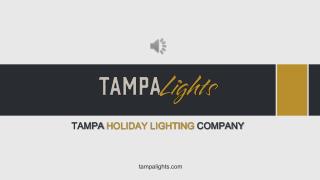 Tampa Holiday Lighting Company - Tampa Lights