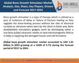 Global Bone Growth Stimulator Market â€“ Industry Trends and Forecast to 2024