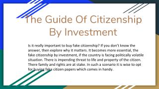 The Guide Of Citizenship By Investment