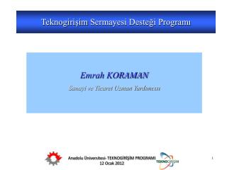 Teknogirişim Sermayesi Desteği Programı