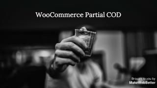 Woocommerce Partial Payment | PPT