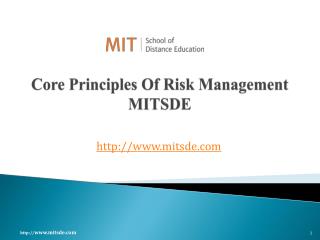 Core Principles Of Risk Management MIT School Of Distance Education