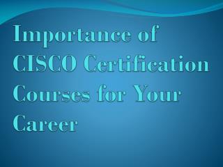 More Career Options with CISCO Certification Courses