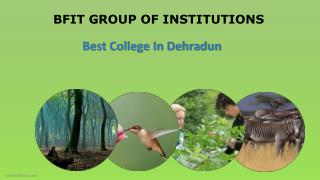 Bsc Forestry colleges dehradun