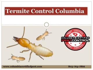 Termite Control Company Columbia South Carolina