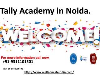 Tally Training in Noida