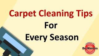 Carpet Cleaning Tips For Every Season