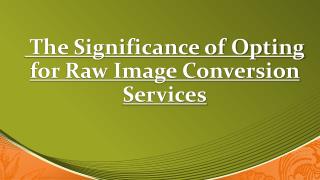Opting Raw Image Conversion Services Various Benefits