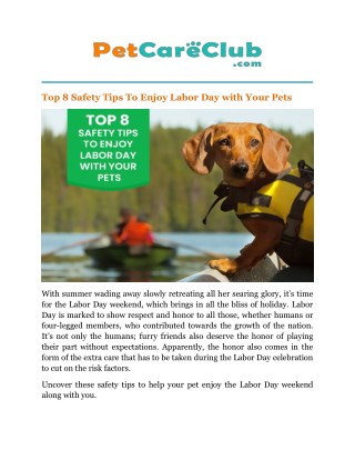 Top 8 Safety Tips To Enjoy Labor Day with Your Pets