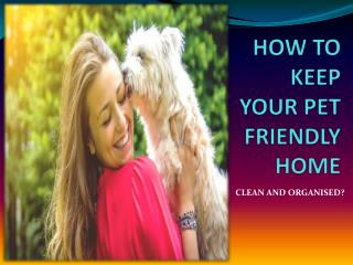 Keep your pet friendly home clean and organised