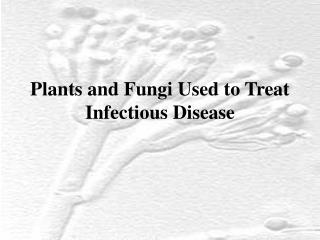 Plants and Fungi Used to Treat Infectious Disease