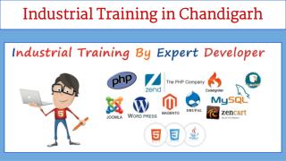 Industrial Training in Chandigarh | Six months Industrial Training in Chandigarh